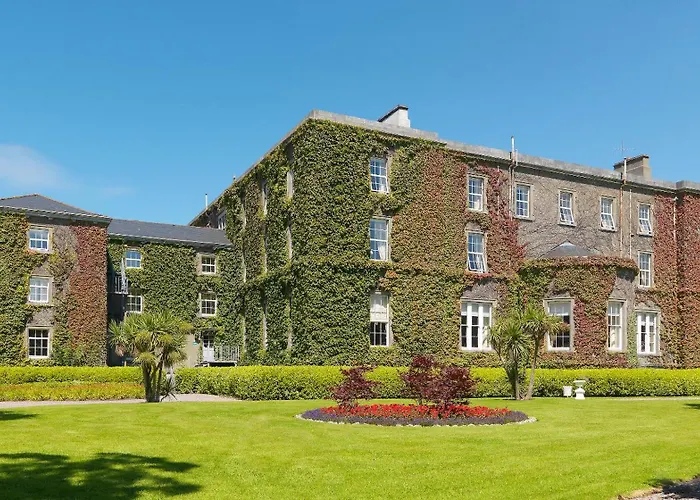 基拉尼南部格瑞特酒店 酒店 基拉尼