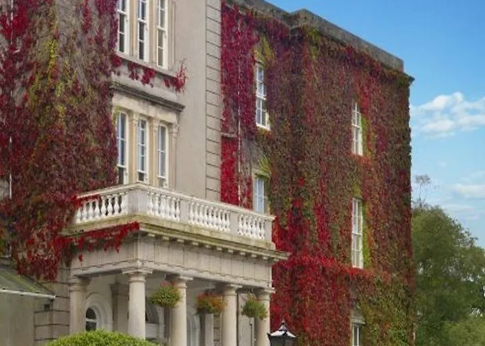 基拉尼南部格瑞特酒店 4*